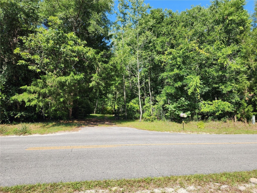 876 SW Newark Drive Fort White FL 32038 - ICHETUCKNEE & SANTA FE RIVERS GC522554 image1