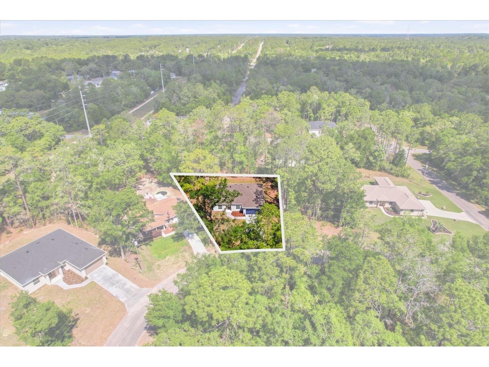 8760 N Vince Drive Dunnellon FL 34434 OM721299 image2