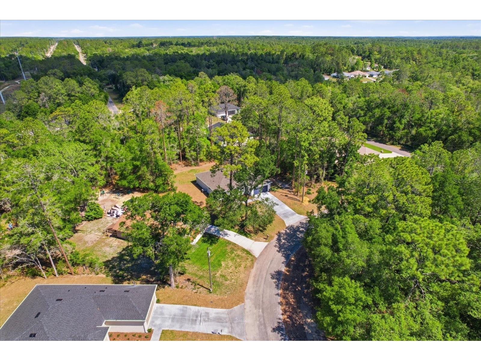 8760 N Vince Drive Dunnellon FL 34434 OM721299 image41
