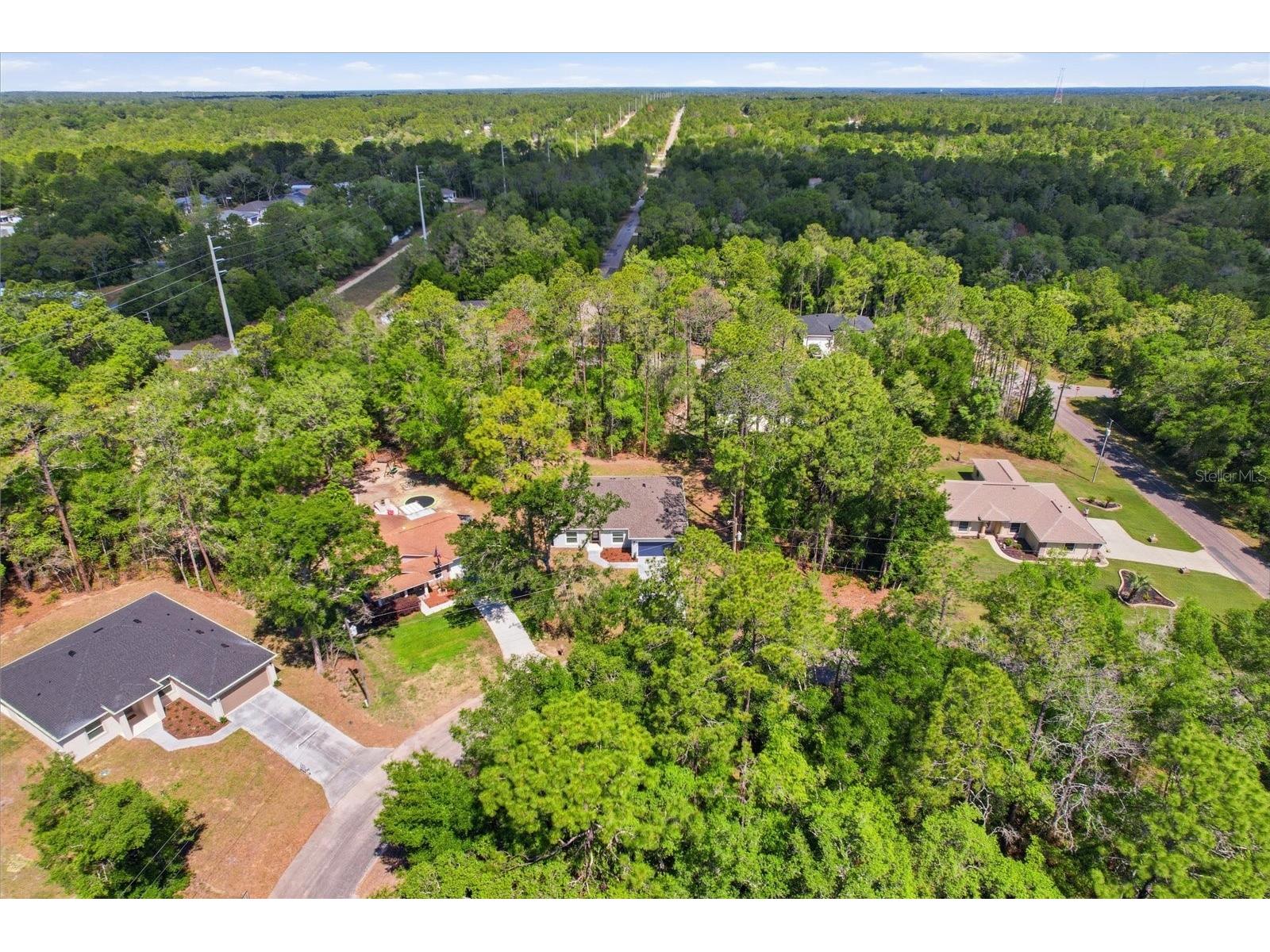 8760 N Vince Drive Dunnellon FL 34434 OM721299 image42