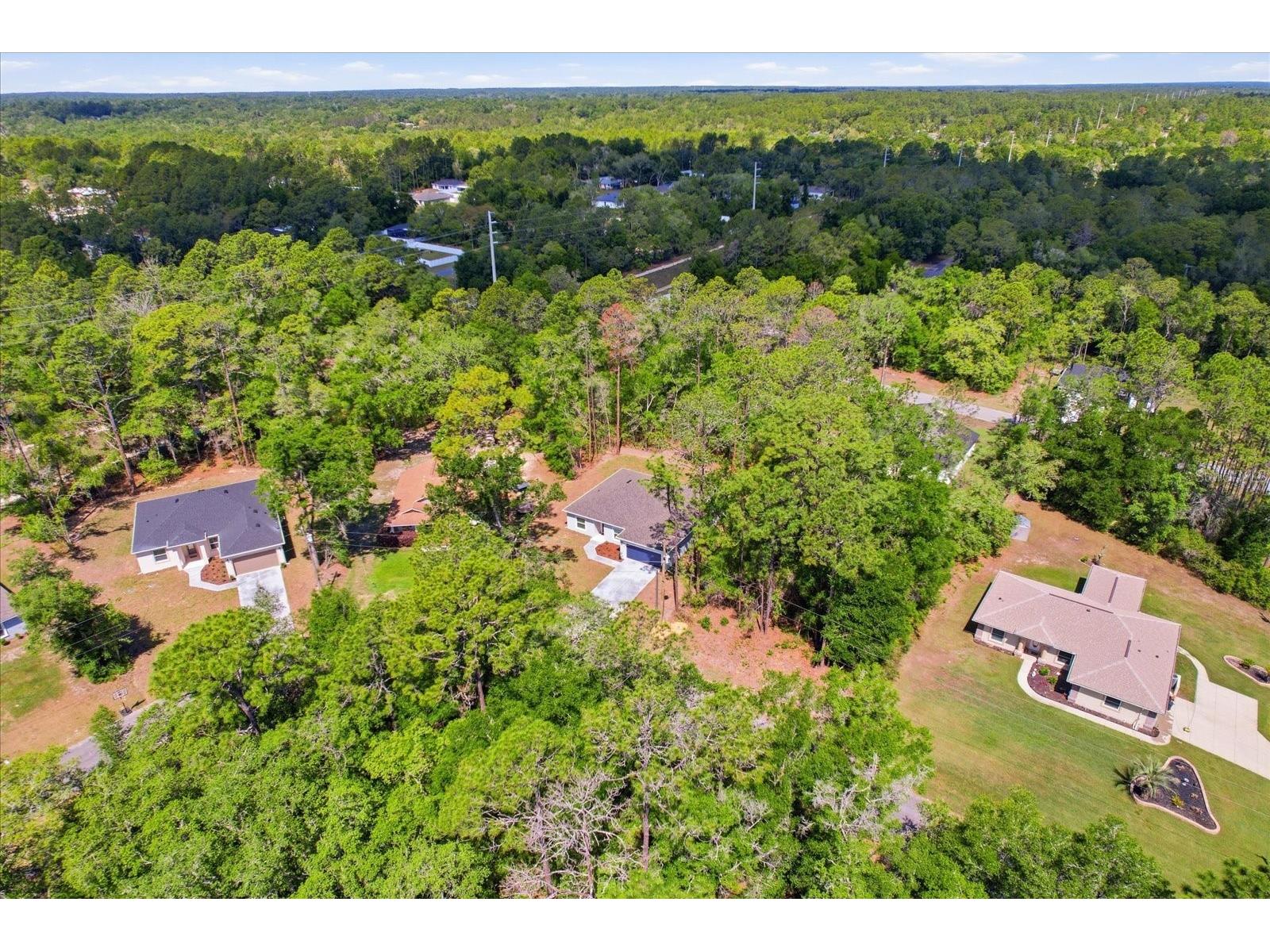 8760 N Vince Drive Dunnellon FL 34434 OM721299 image43