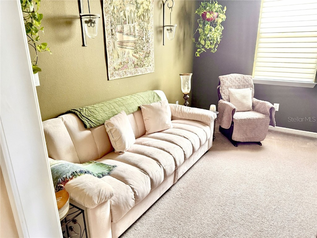 8760 Ocean Tides Cove Parrish FL 34219 A4661628 image18