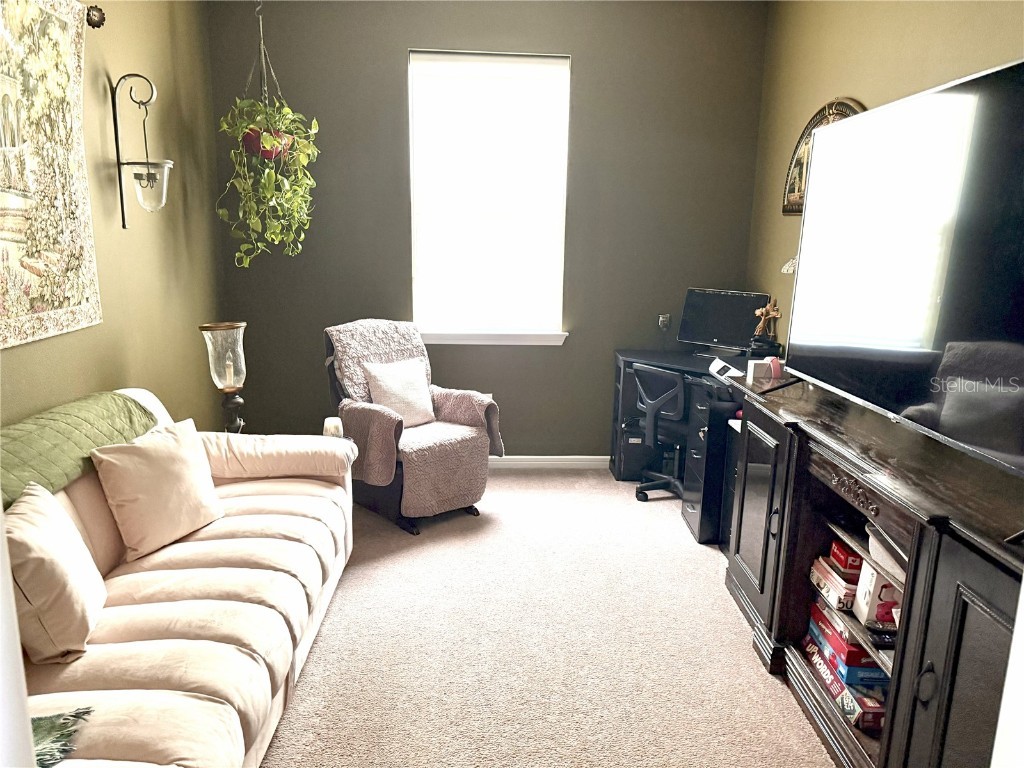 8760 Ocean Tides Cove Parrish FL 34219 A4661628 image19