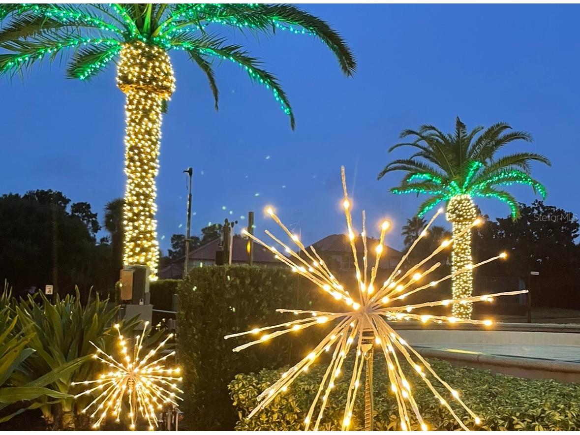 8760 The Esplanade #51 Orlando FL 32836 O6389847 image42
