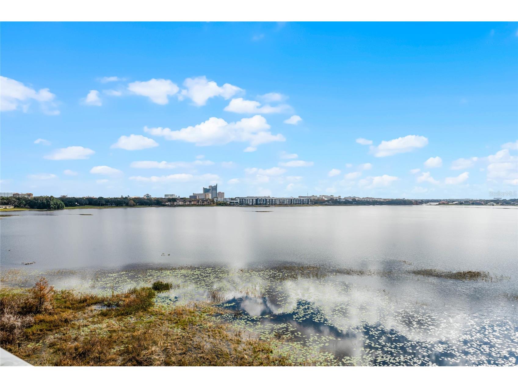 8761 The Esplanade #22 Orlando FL 32836 O6421732 image31
