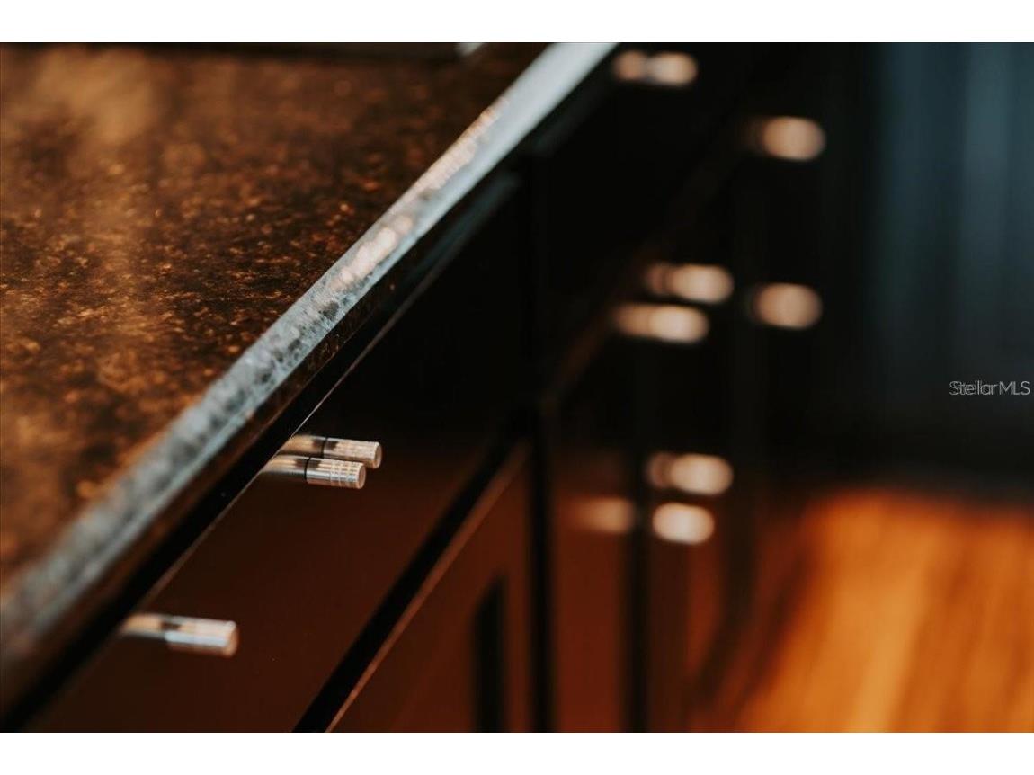 8761 The Esplanade #9 Orlando FL 32836 - Big Sand Lake S5138543 image45