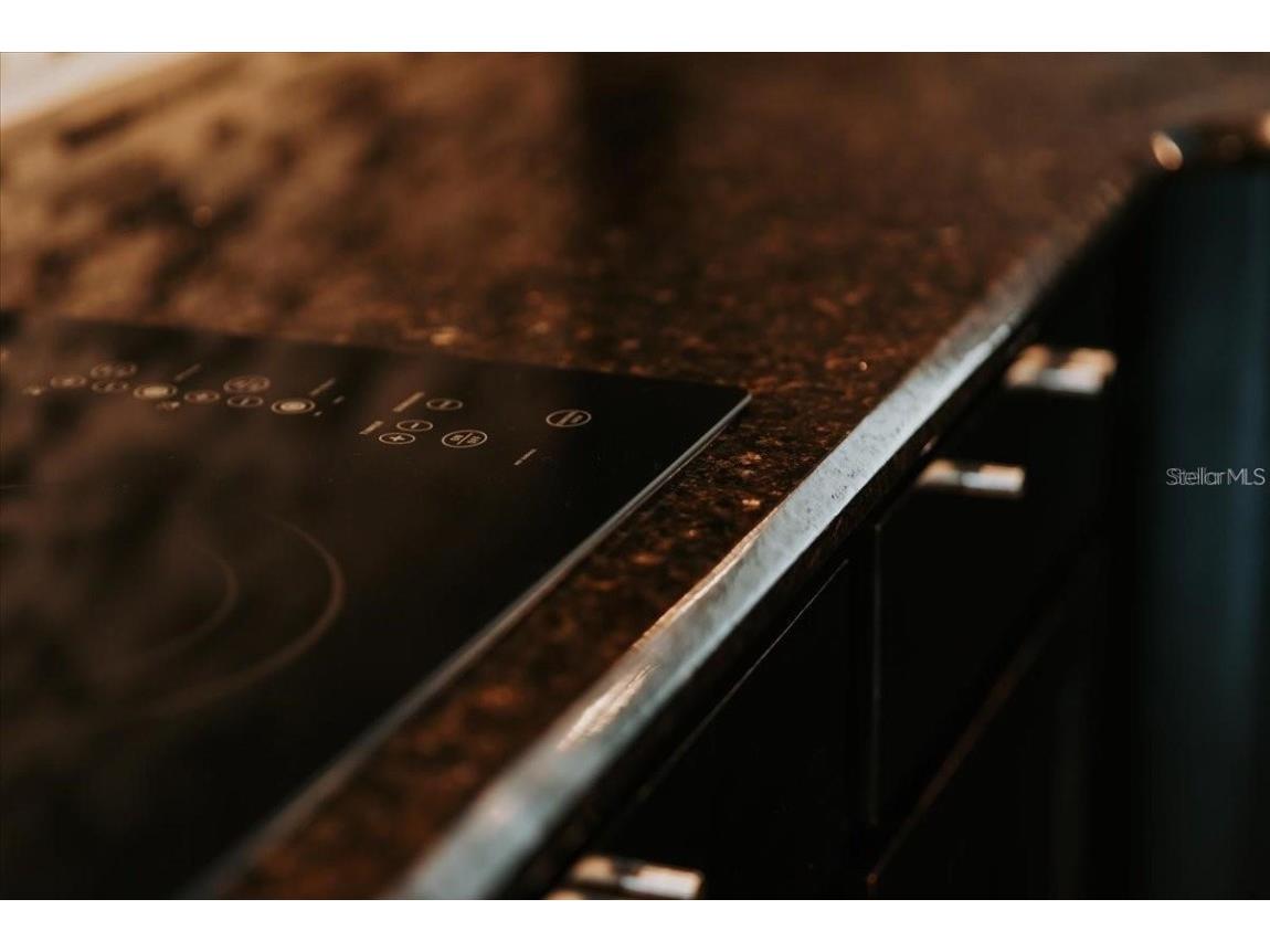 8761 The Esplanade #9 Orlando FL 32836 - Big Sand Lake S5138543 image46