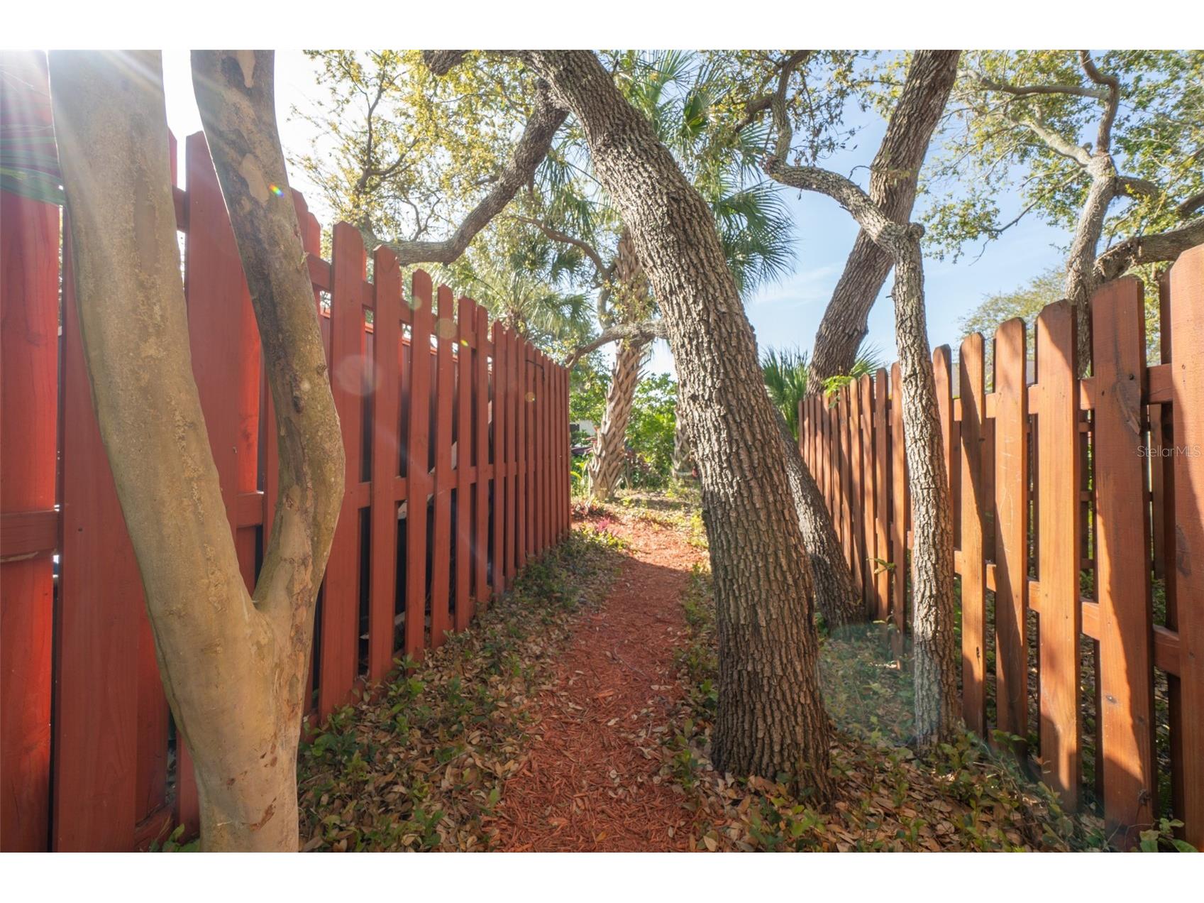 8762 Live Oak Court Cape Canaveral FL 32920 O6417769 image35