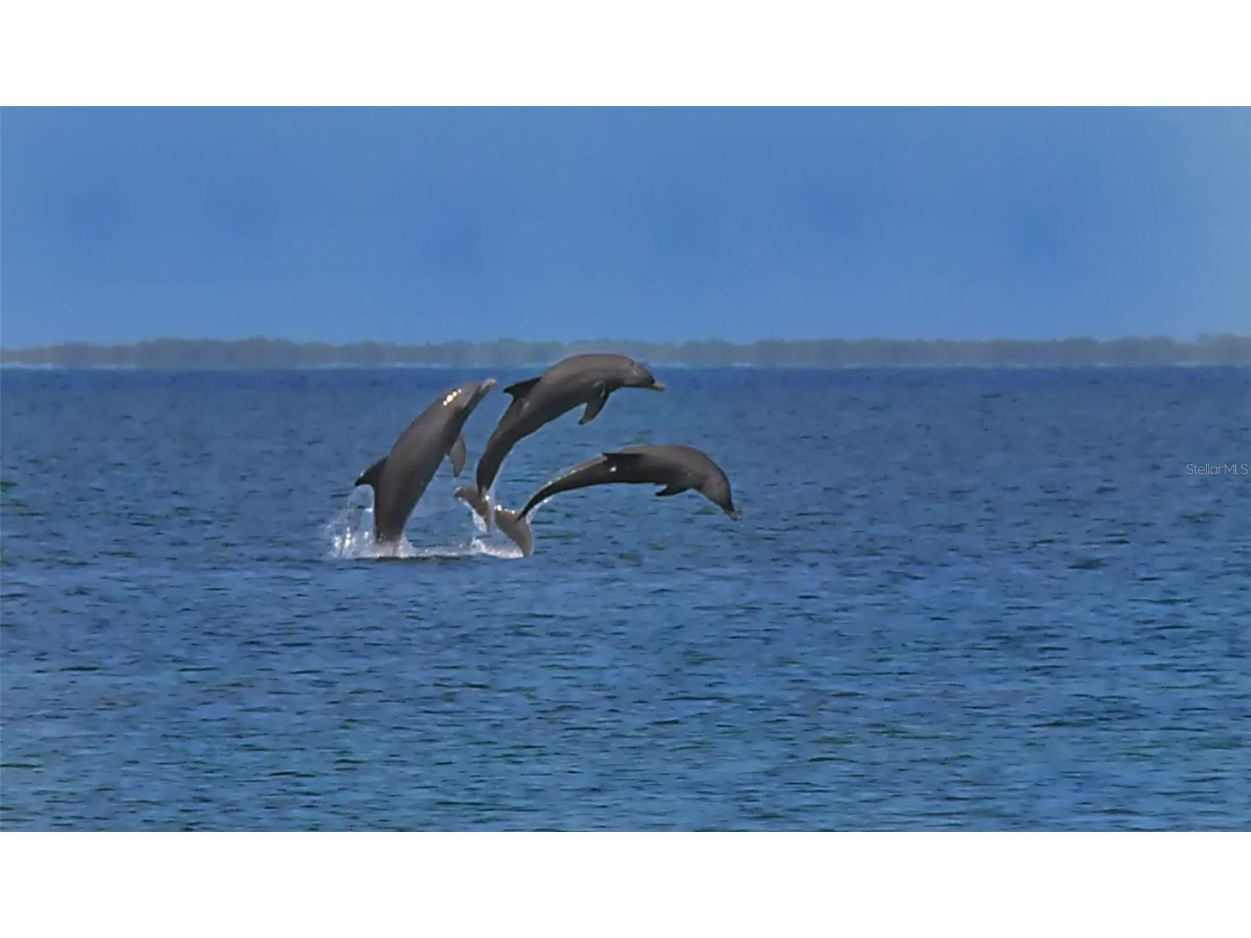 8764 Midnight Pass Road #A306 Sarasota FL 34242 - GULF OF AMERICA A4679889 image93