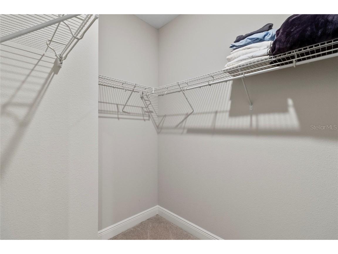 8764 Powder Ridge Trail Windermere FL 34786 O6351622 image25