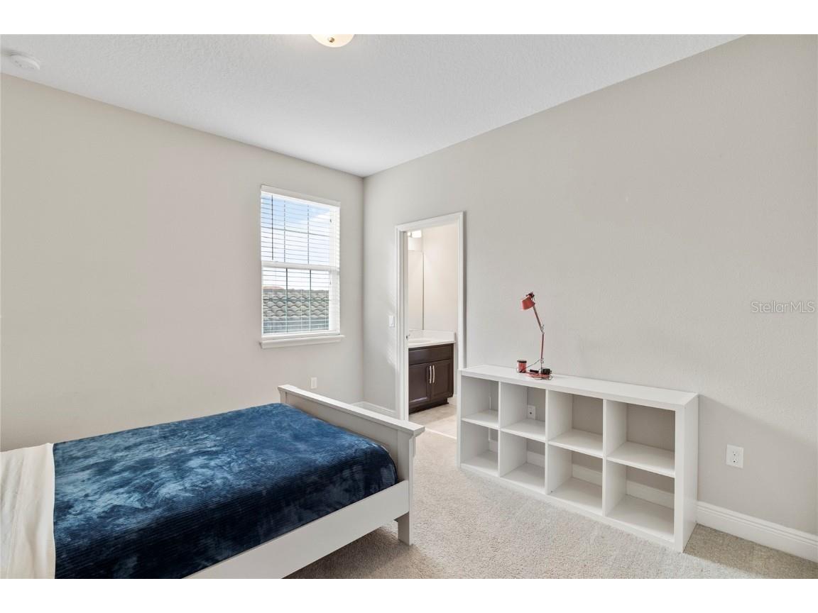 8764 Powder Ridge Trail Windermere FL 34786 O6351622 image29