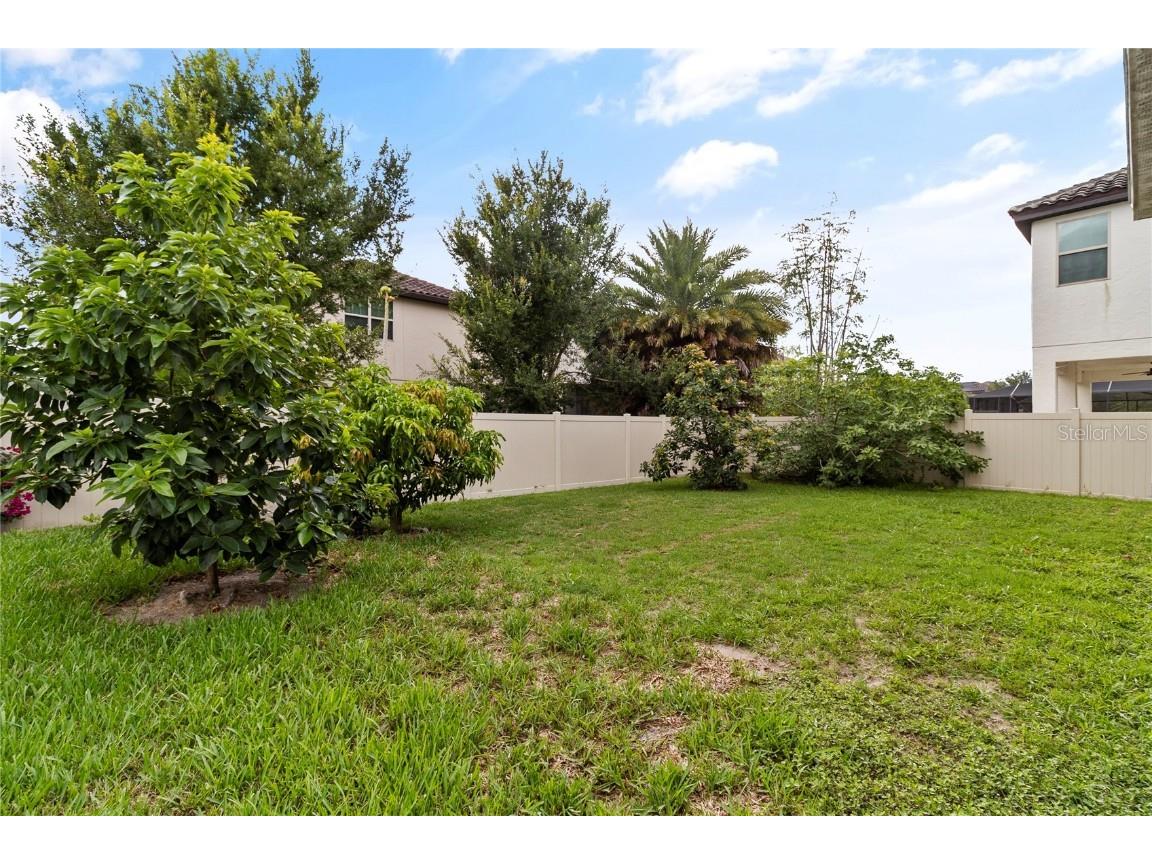 8764 Powder Ridge Trail Windermere FL 34786 O6351622 image44