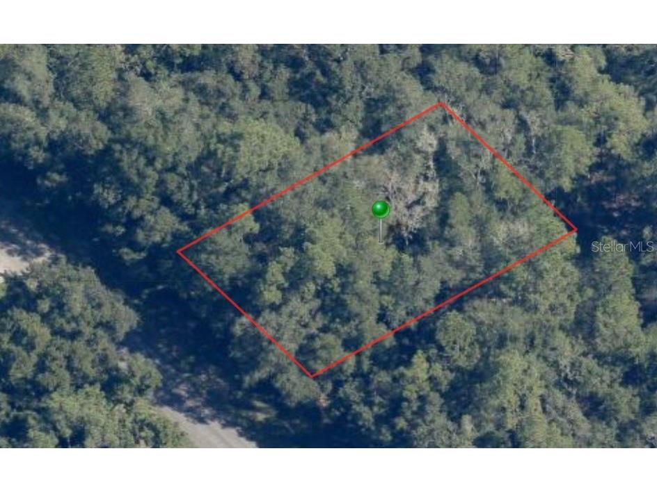 8766 N Pitcairn Way Citrus Springs FL 34434 A4577420 image1