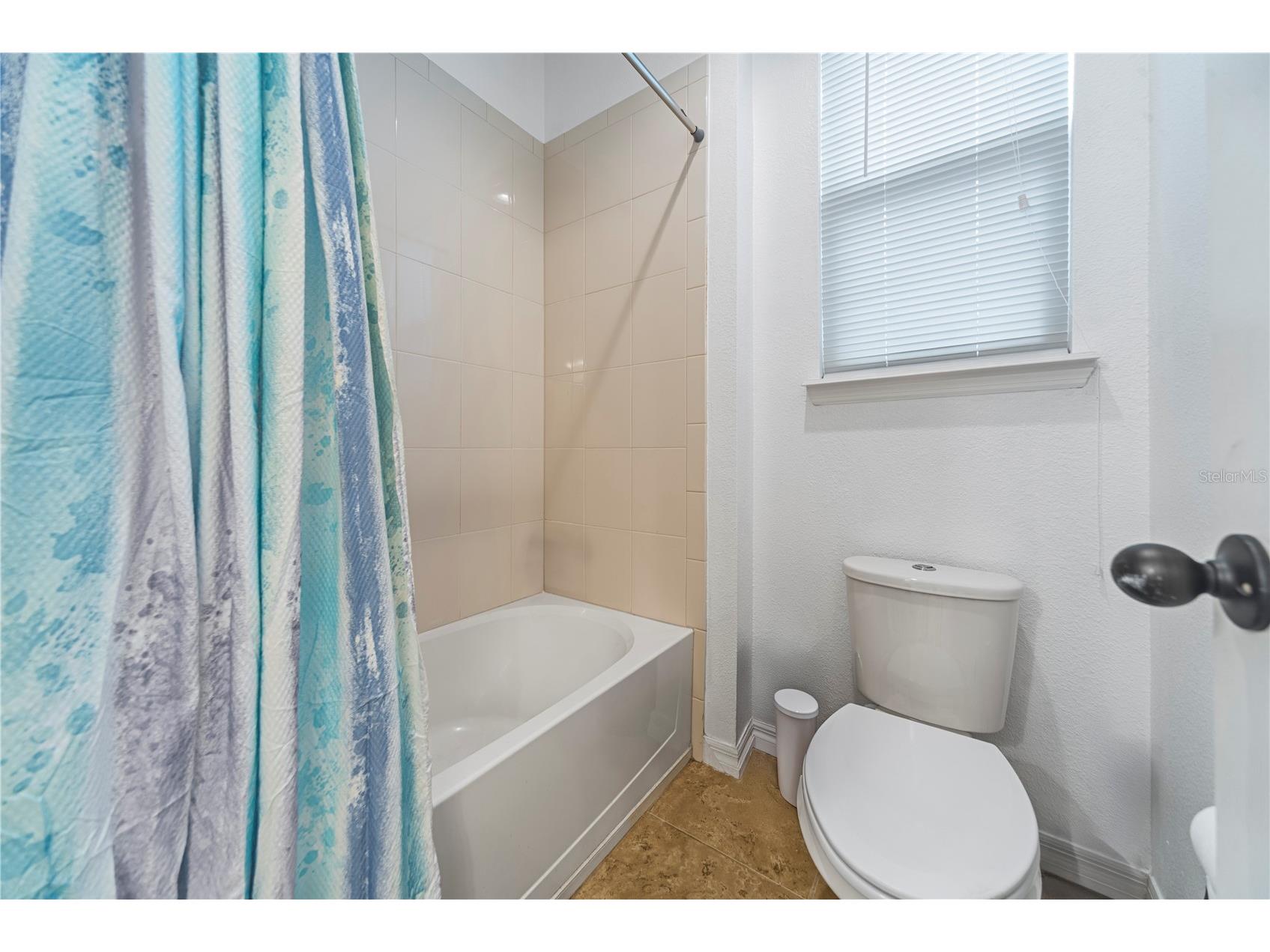 8767 Iron Mountain Trail Windermere FL 34786 O6379681 image22