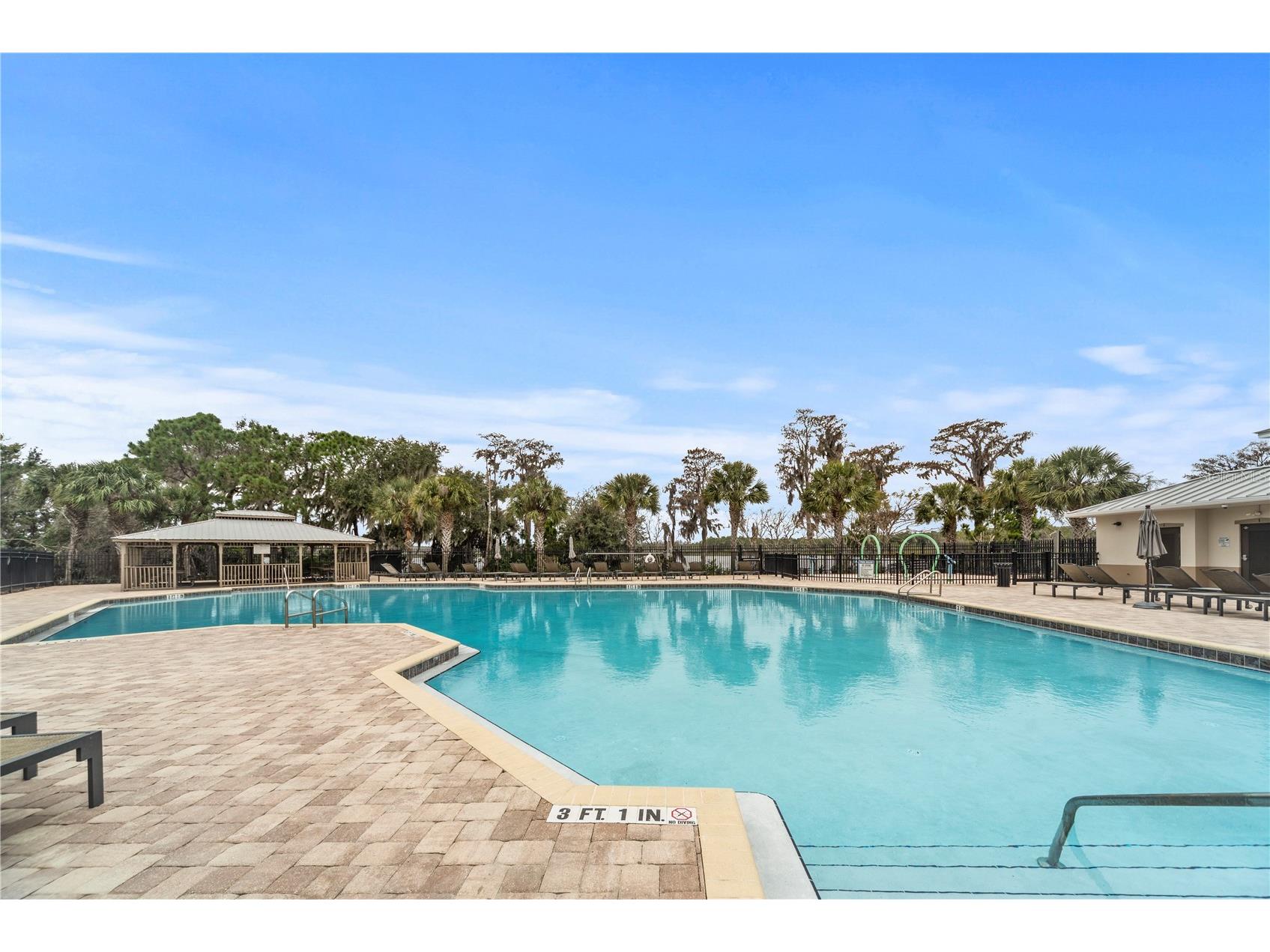 8767 Iron Mountain Trail Windermere FL 34786 O6379681 image38