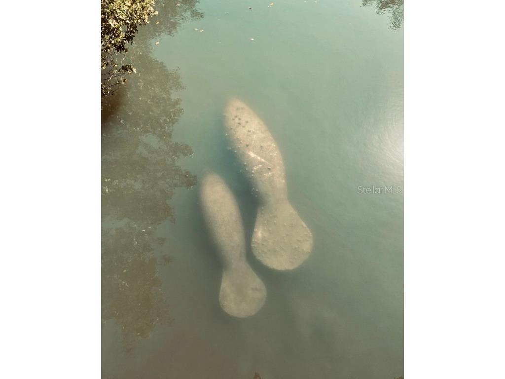 8767 Midnight Pass Road #403F Sarasota FL 34242 - LITTLE SARASOTA BAY A4673053 image42