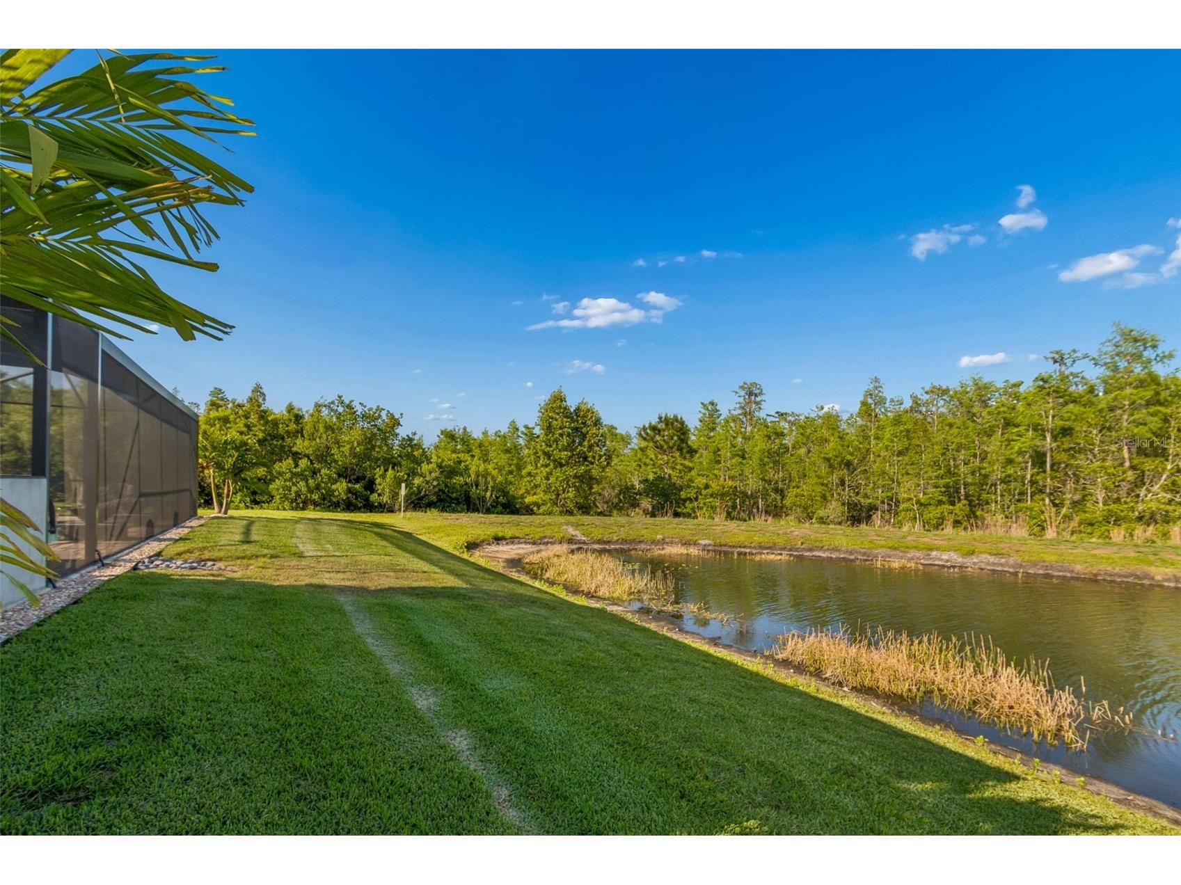 8768 Birchleaf Court Land O Lakes FL 34637 TB8500661 image29