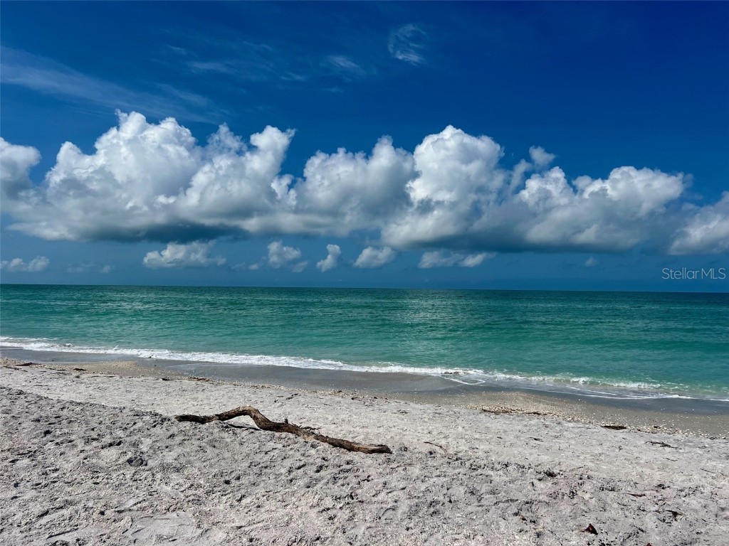 8768 King Street Placida FL 33946 D6143898 image15