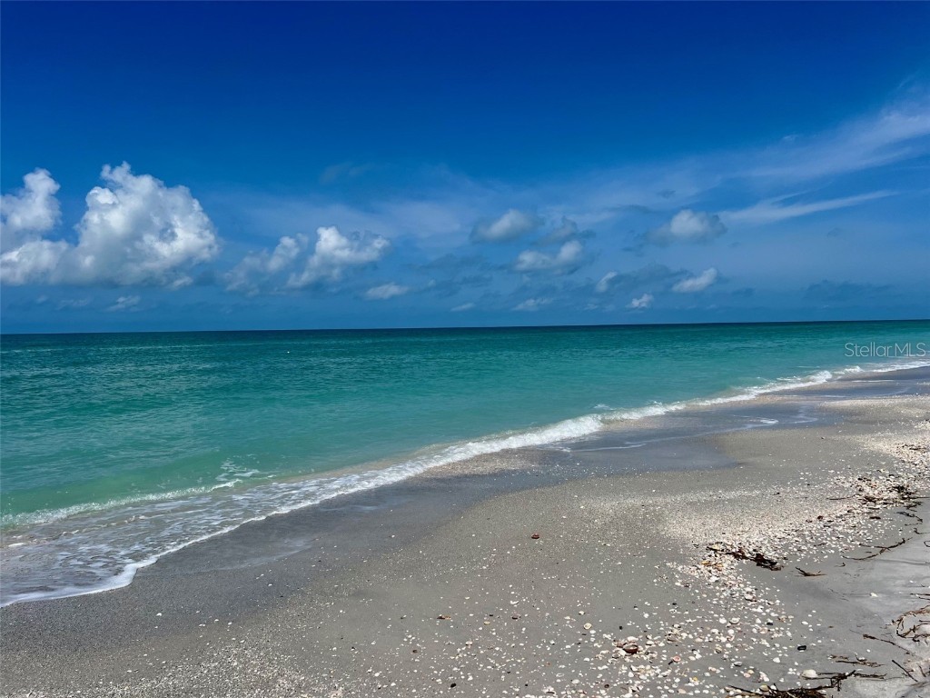 8768 King Street Placida FL 33946 D6143898 image16