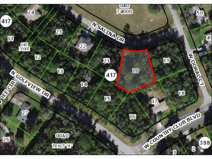 8768 N Salina Drive Citrus Springs FL 34434 FC293788 image1