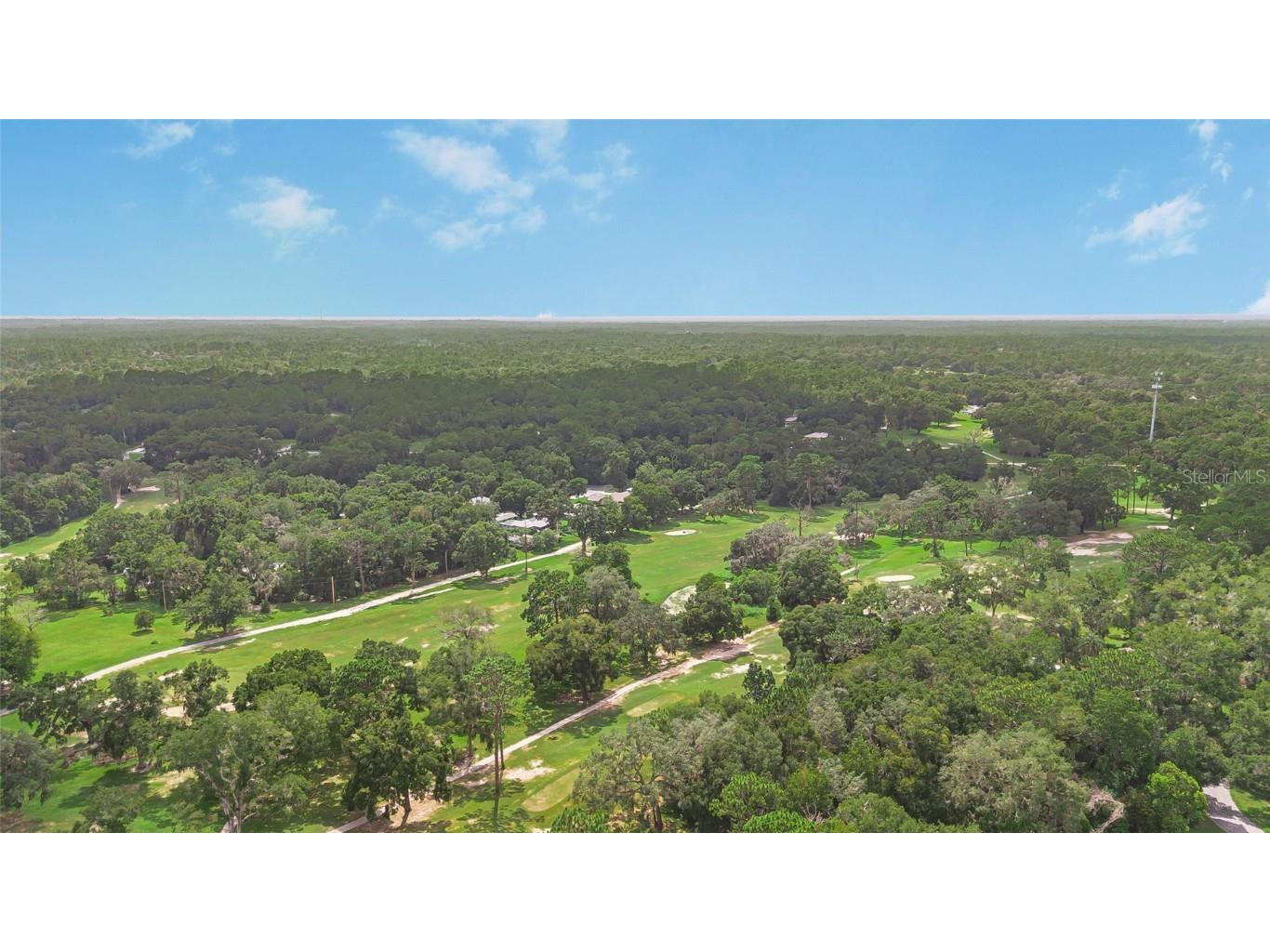 8768 N Salina Drive Citrus Springs FL 34434 OM706872 image36