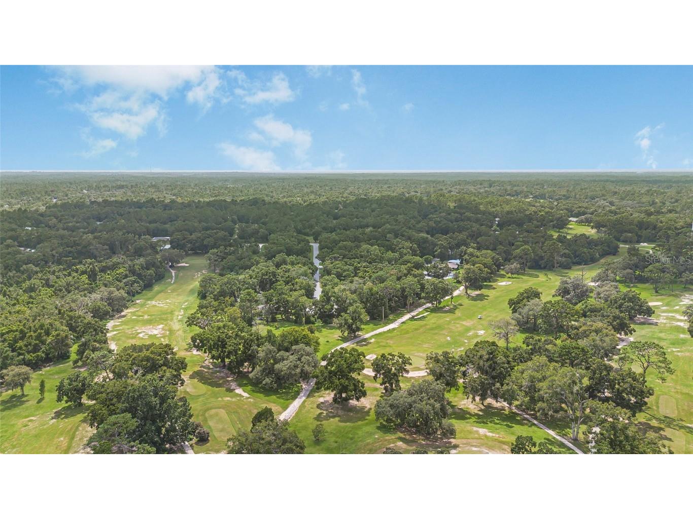 8768 N Salina Drive Citrus Springs FL 34434 OM706872 image37