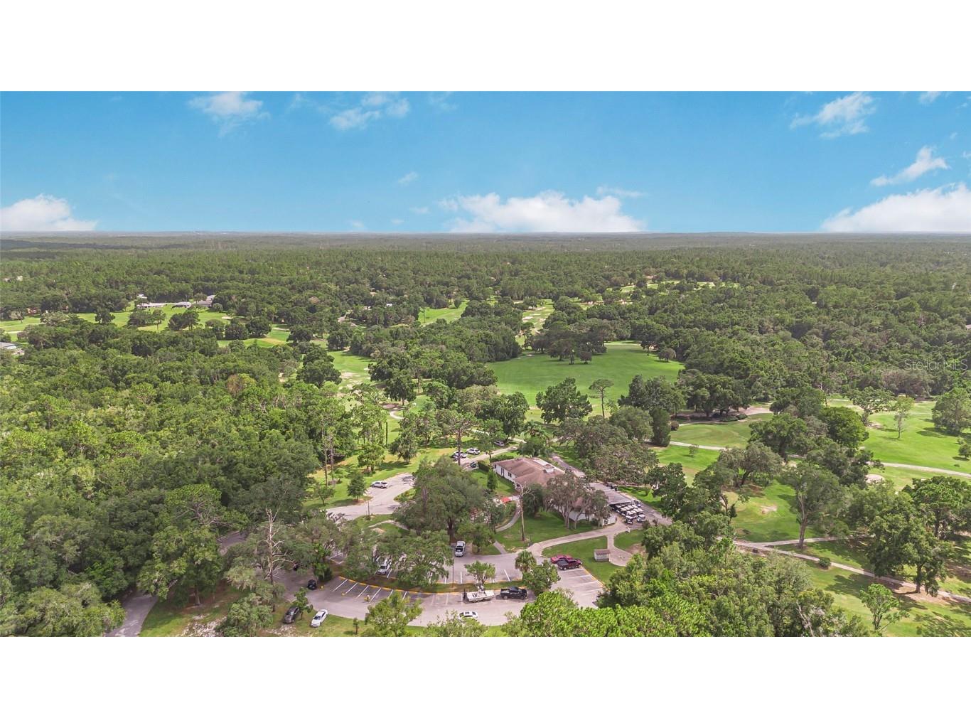 8768 N Salina Drive Citrus Springs FL 34434 OM706872 image38