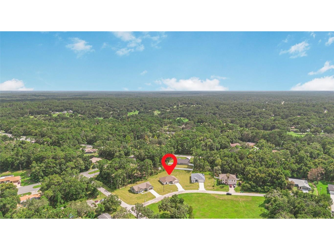 8768 N Salina Drive Citrus Springs FL 34434 OM706872 image39