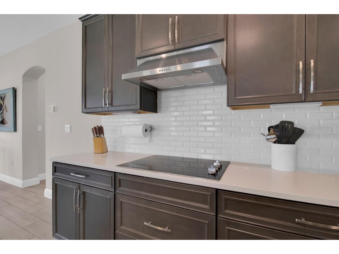 8768 Sonoma Coast Drive Winter Garden FL 34787 O6303386 image11