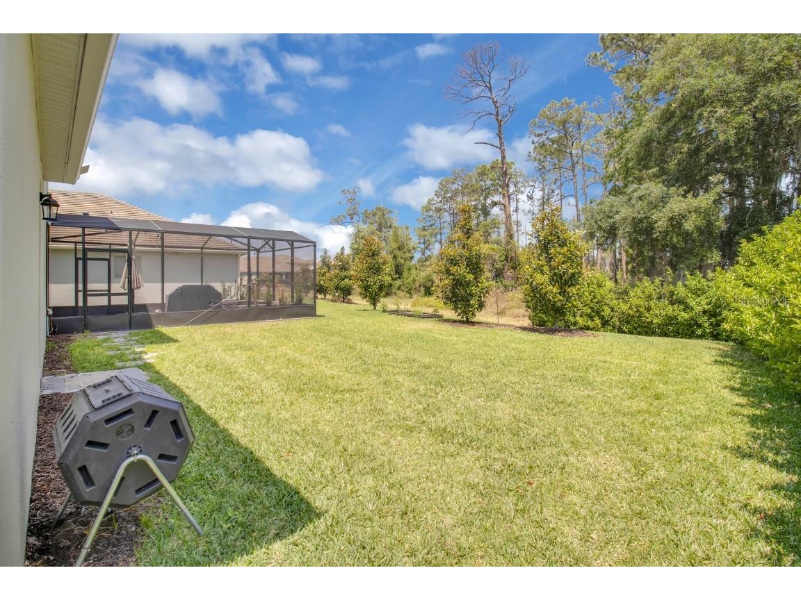 8768 Sonoma Coast Drive Winter Garden FL 34787 O6303386 image47