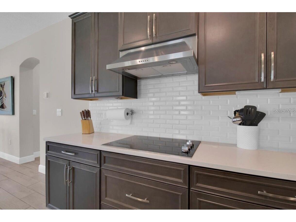 8768 Sonoma Coast Drive Winter Garden FL 34787 O6414519 image8