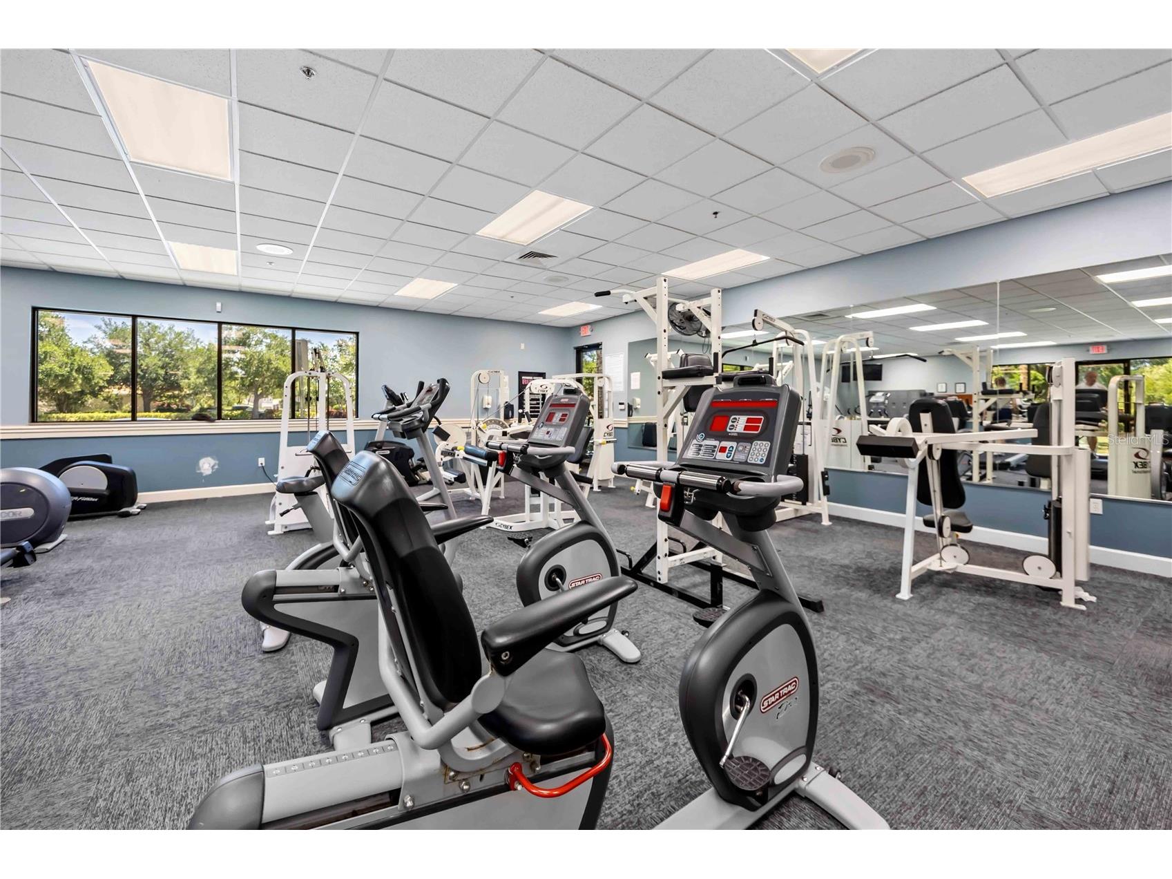 8769 Monterey Bay Loop Bradenton FL 34212 A4689555 image50