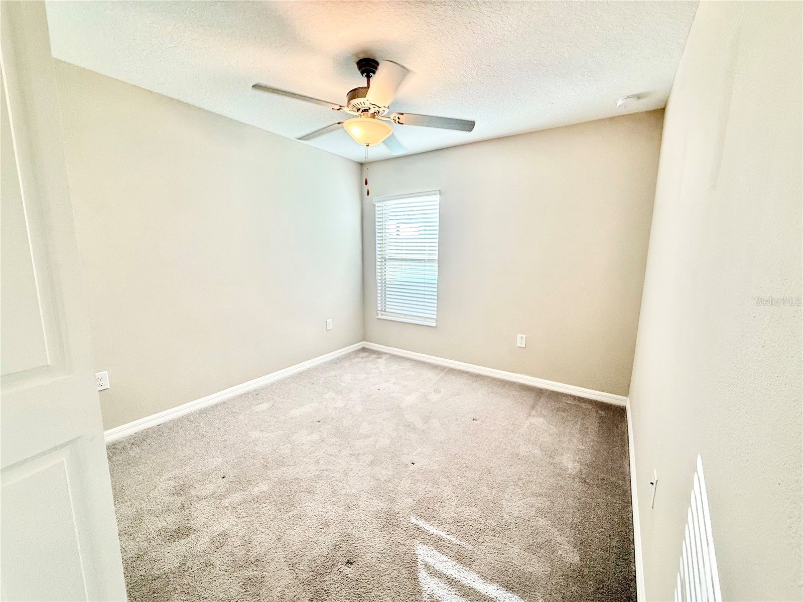 8769 Parsons Hill Boulevard Wesley Chapel FL 33545 TB8428490 image21