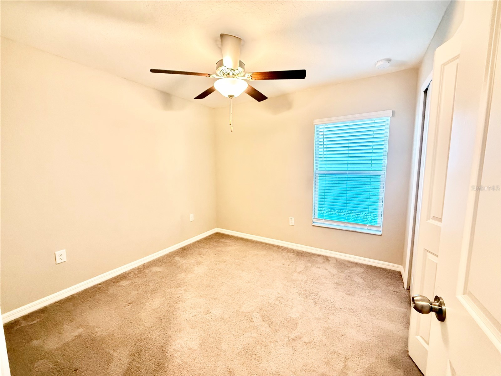 8769 Parsons Hill Boulevard Wesley Chapel FL 33545 TB8428490 image25