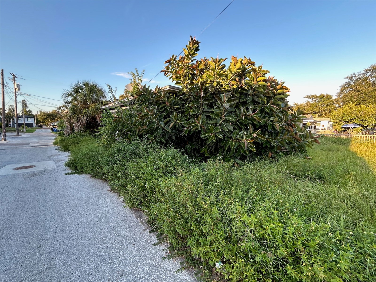 877 22nd Avenue S Saint Petersburg FL 33705 O6401691 image15