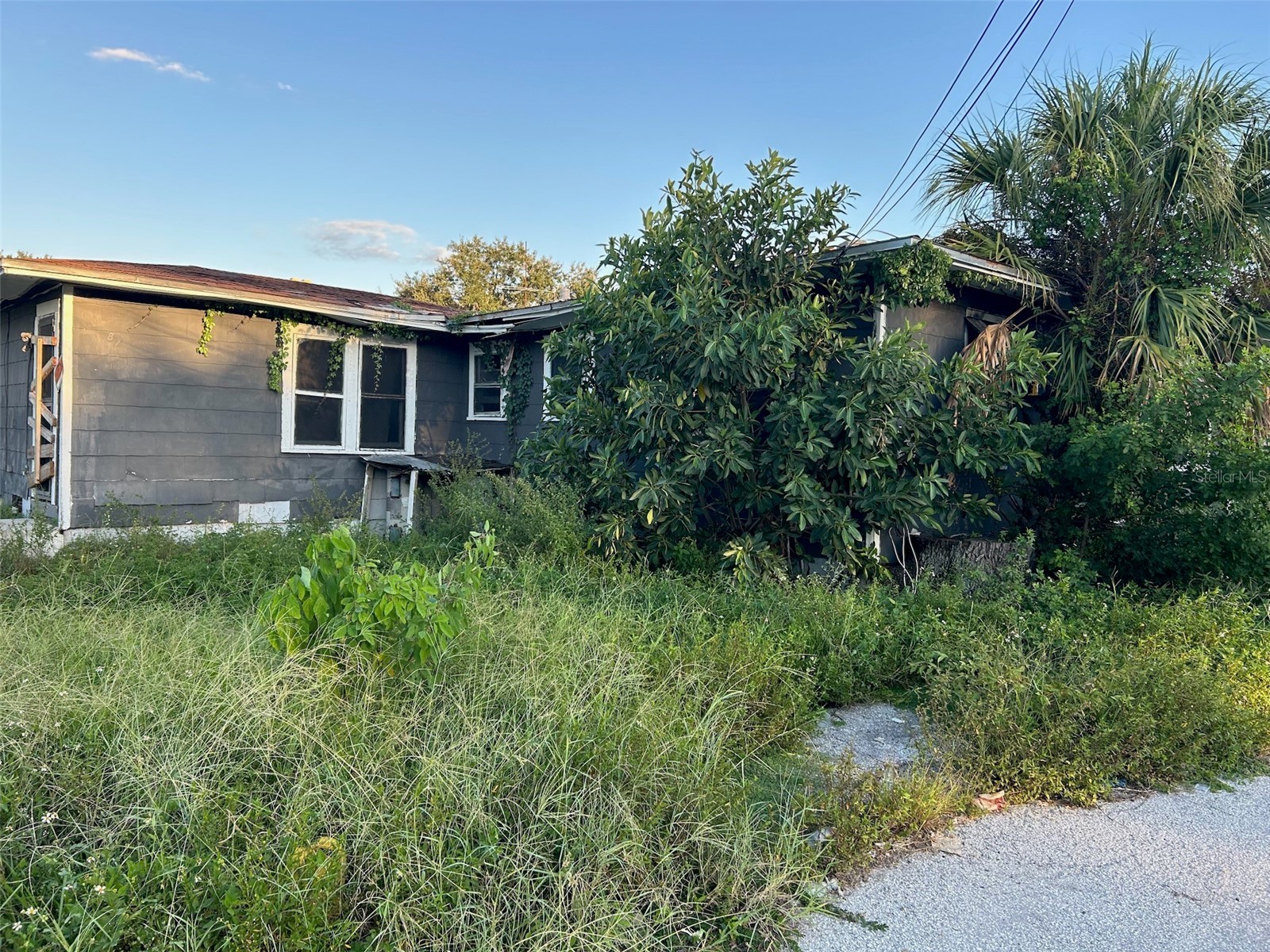 877 22nd Avenue S Saint Petersburg FL 33705 O6401691 image4