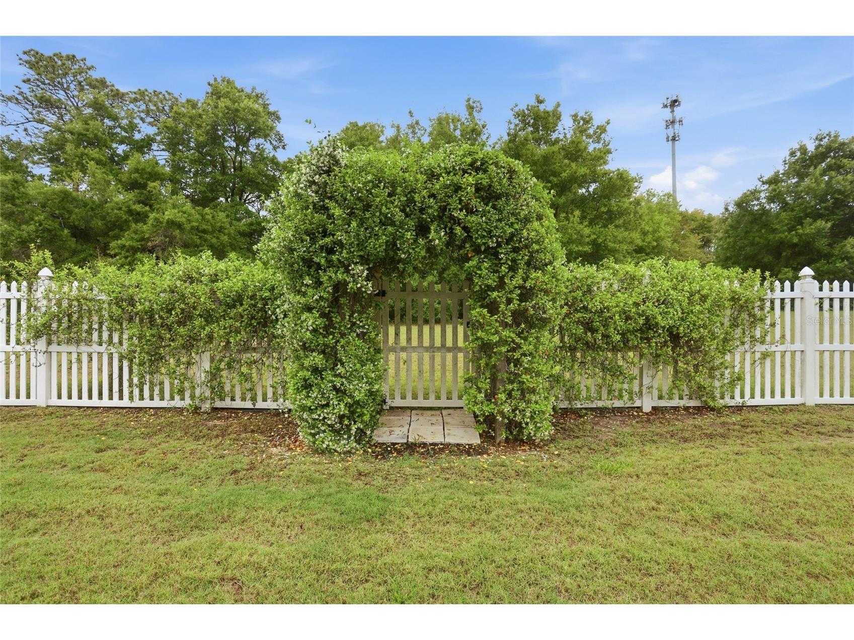 877 Haring Lane Mount Dora FL 32757 S5147275 image21