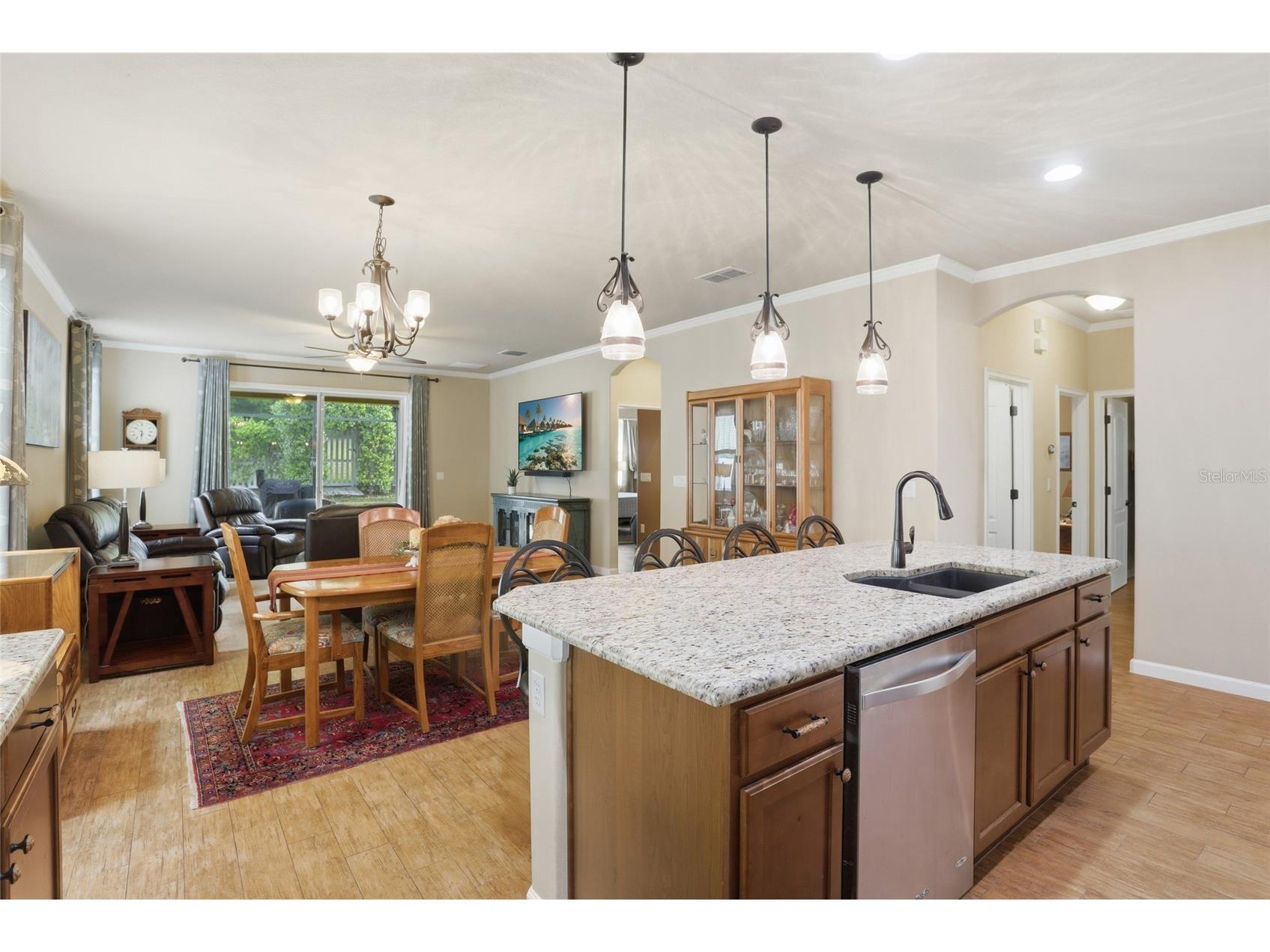 877 Haring Lane Mount Dora FL 32757 S5147275 image4