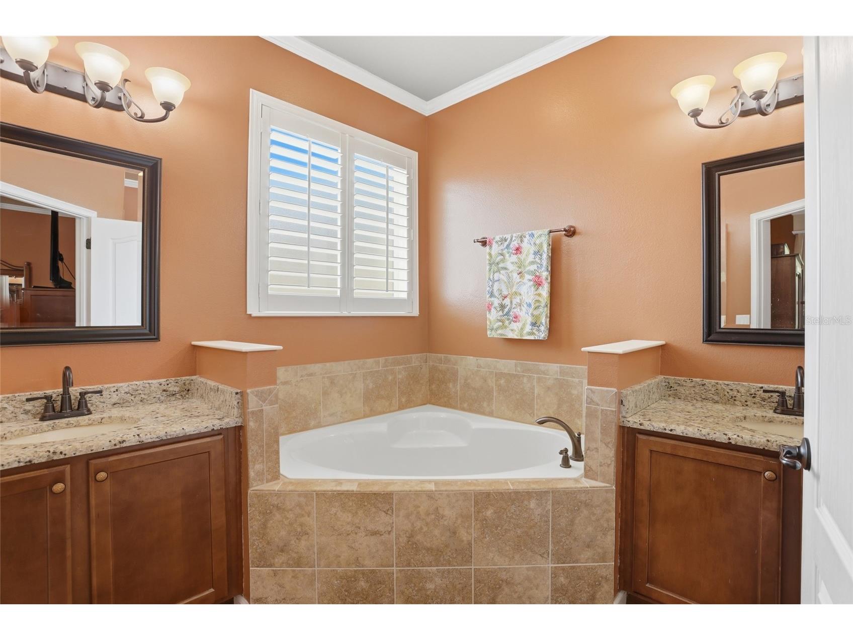 877 Haring Lane Mount Dora FL 32757 S5147275 image7