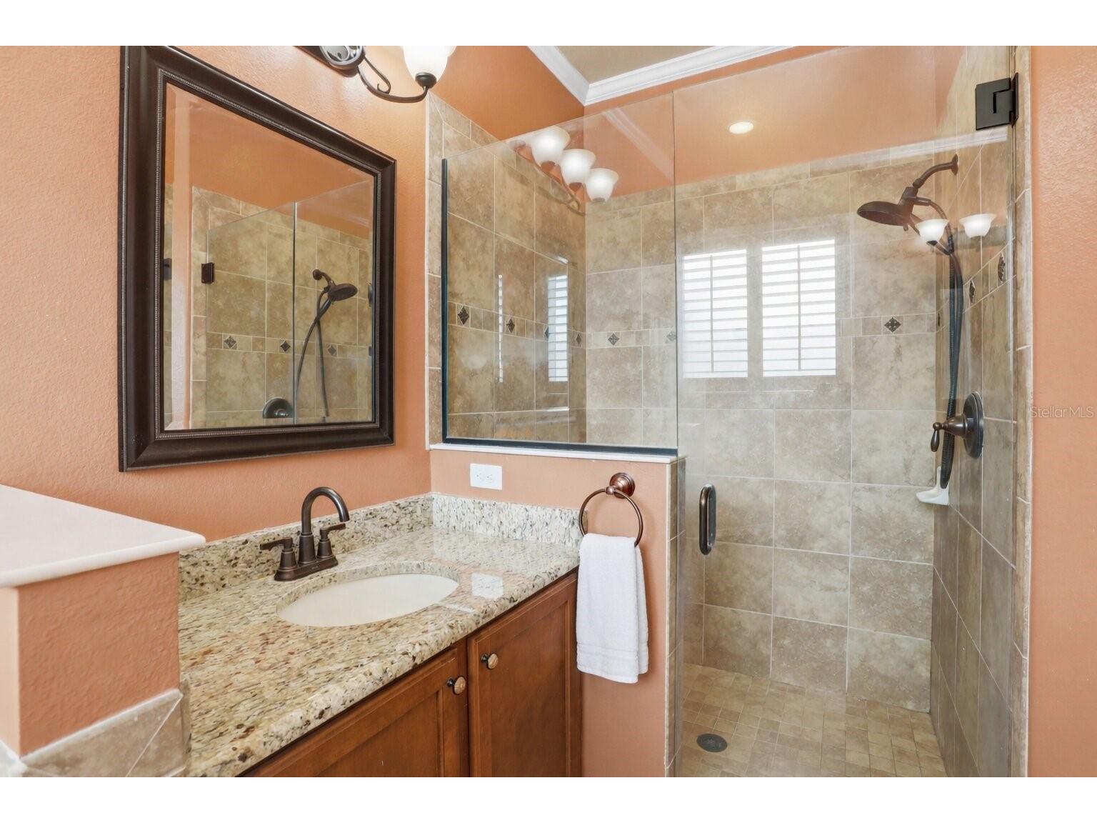 877 Haring Lane Mount Dora FL 32757 S5147275 image8