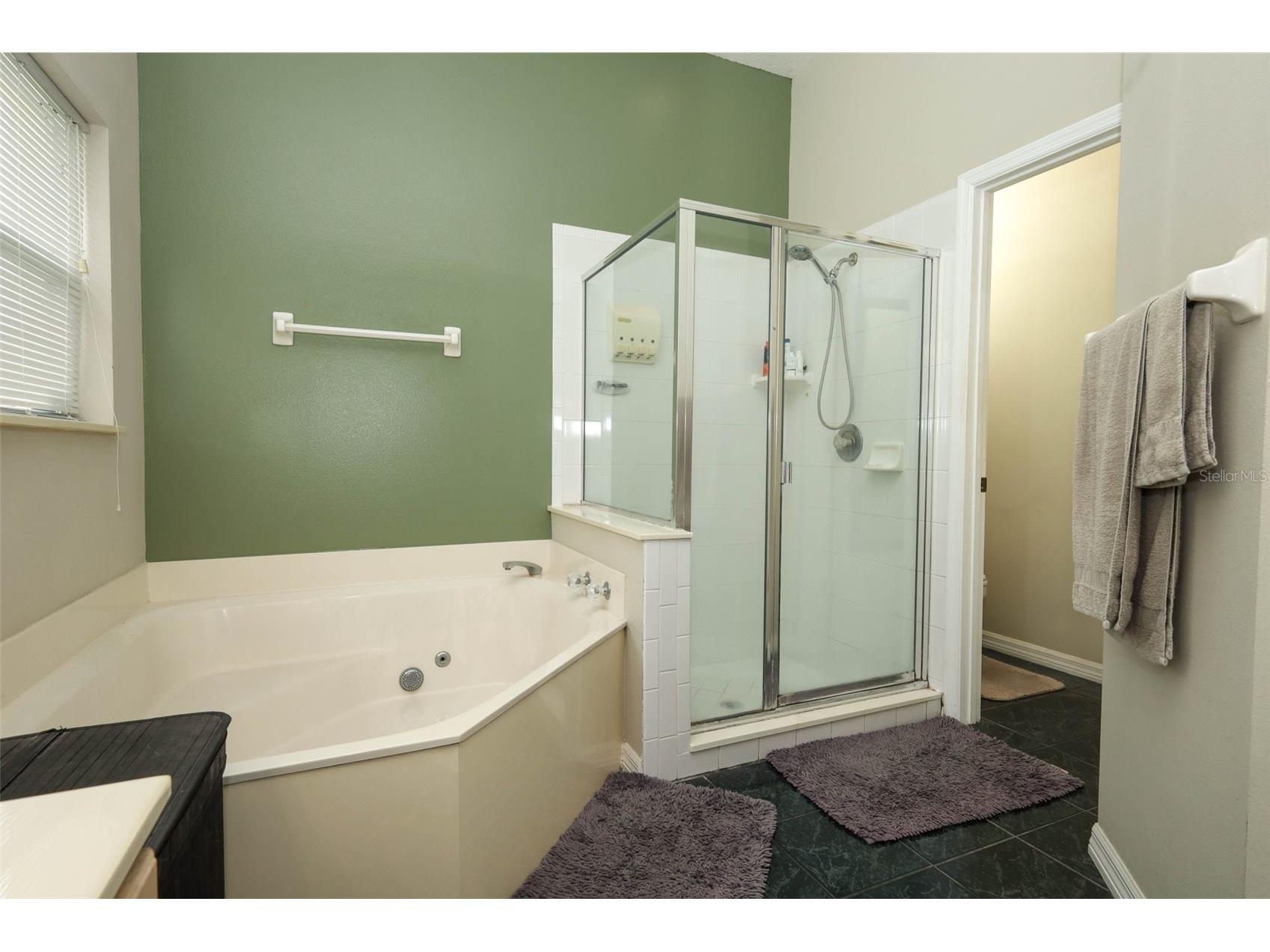877 Kensington Gardens Court Oviedo FL 32765 O6415939 image24
