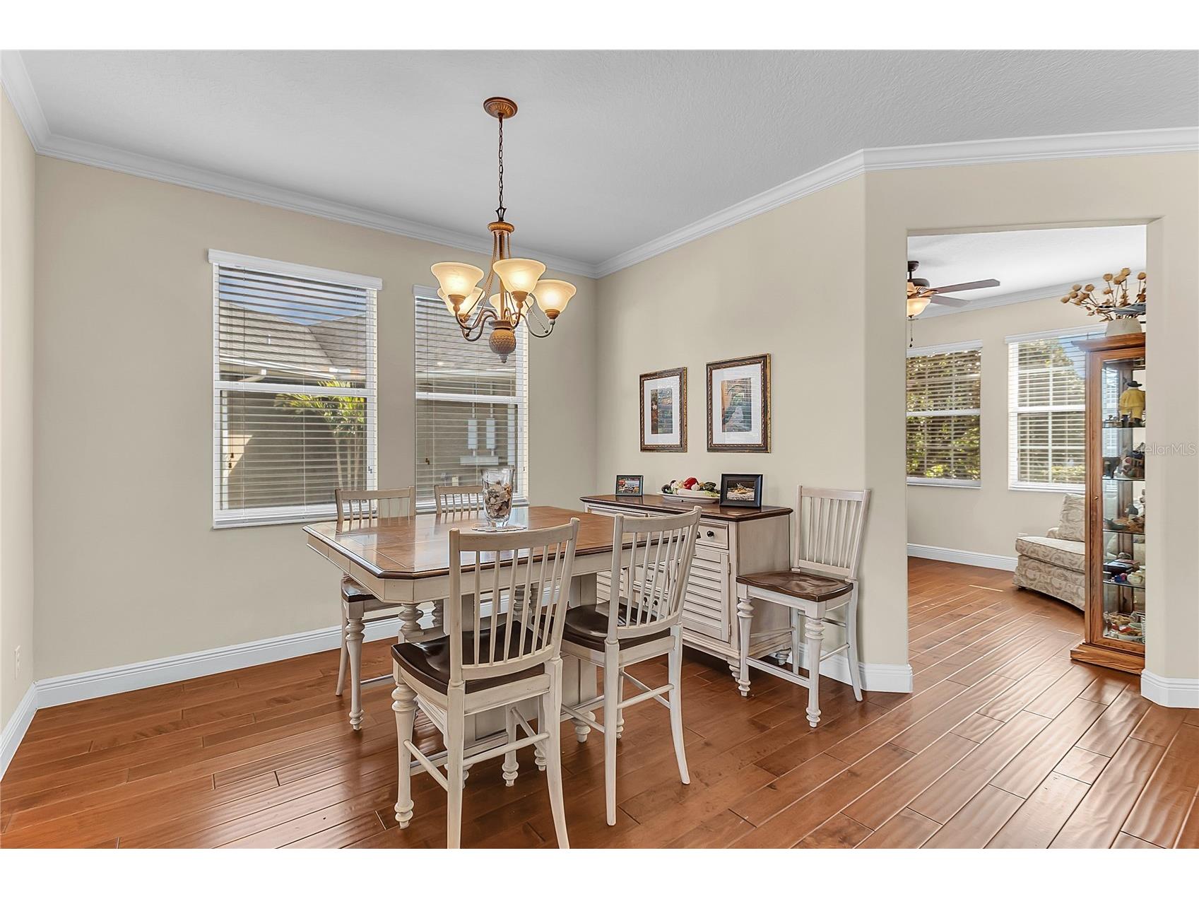 877 Strathmore Drive Orlando FL 32803 O6376261 image10