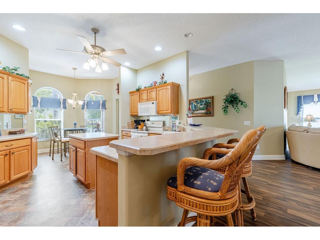877 Winifred Way The Villages FL 32162 G5113269 image6