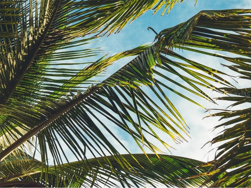 8770 Midnight Pass Road #402B Sarasota FL 34242 A4574241 image62