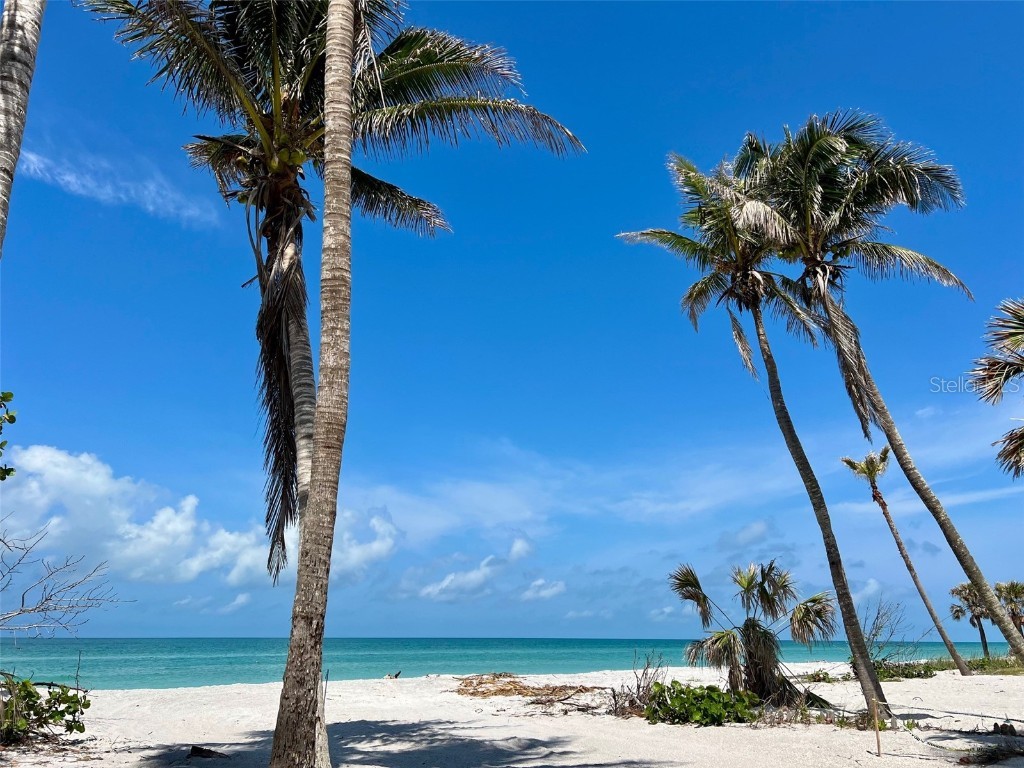 8772 Little Gasparilla Island Placida FL 33946 - PLACIDA HARBOR D6143924 image47