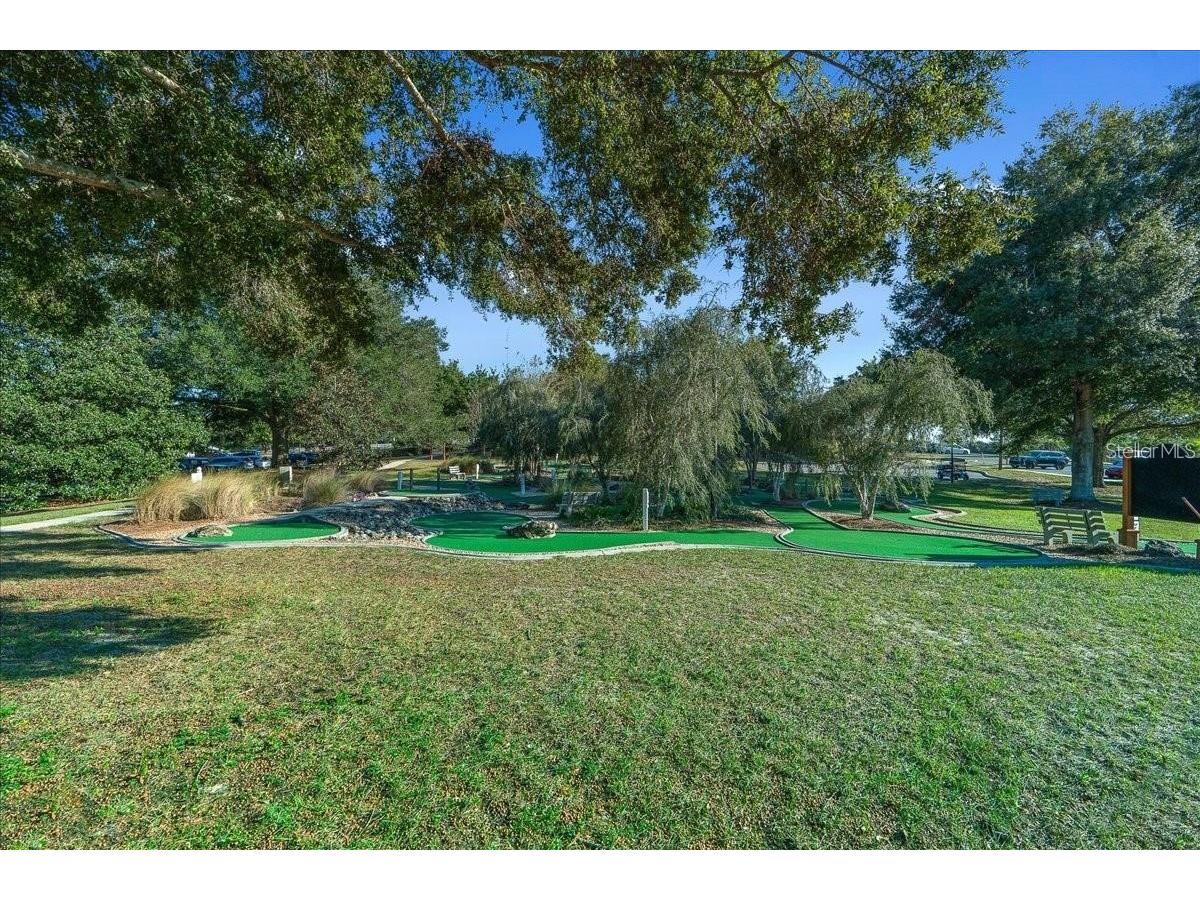 8773 SW 103rd Circle Ocala FL 34481 G5104389 image57