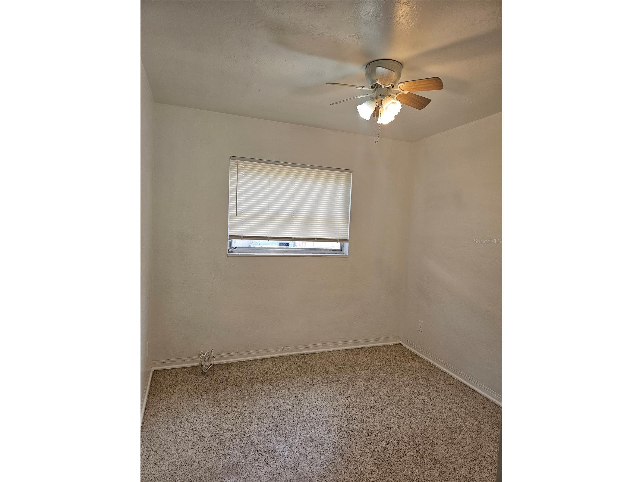 8775 58th Street N Pinellas Park FL 33782 TB8506014 image7
