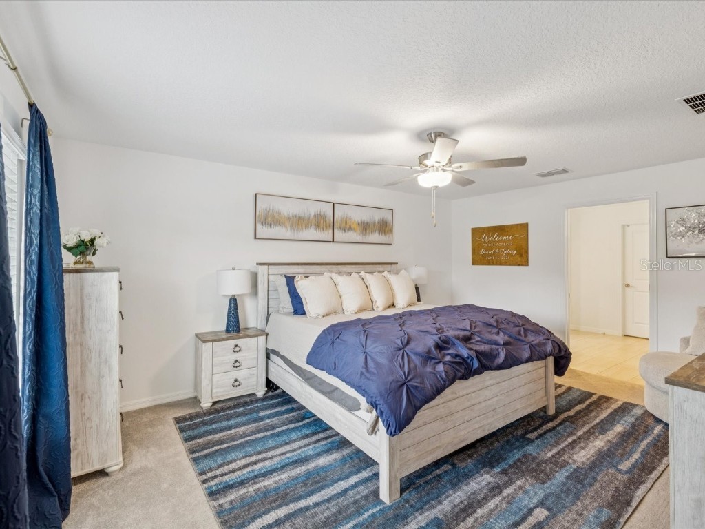 8775 Little Bluestem Drive Land O Lakes FL 34637 TB8416159 image10