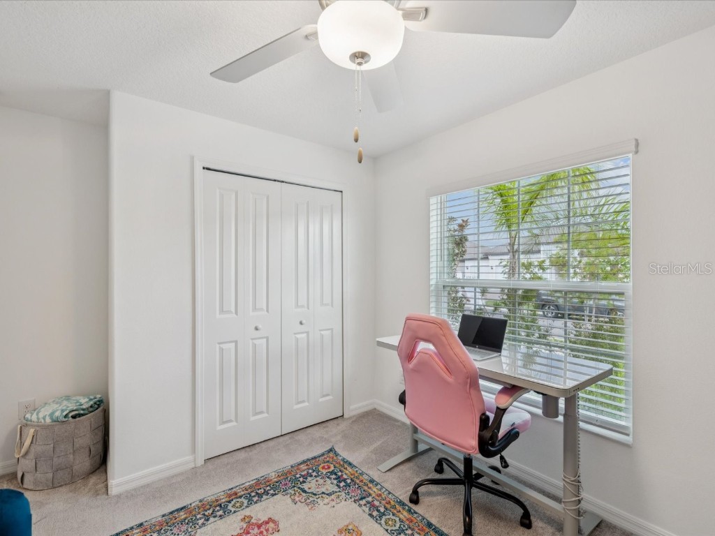 8775 Little Bluestem Drive Land O Lakes FL 34637 TB8416159 image21