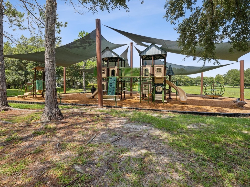 8775 Little Bluestem Drive Land O Lakes FL 34637 TB8416159 image43